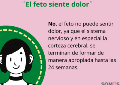 El feto siente dolor. No, el feto no puede sentir dolor