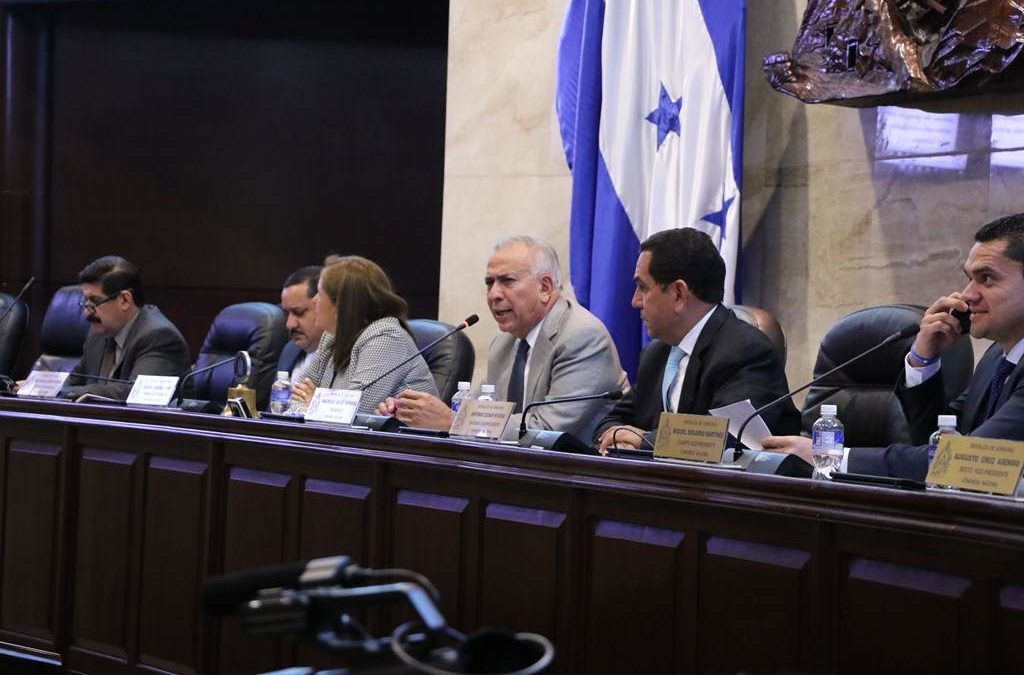 La lucha en el Congreso Nacional por la despenalización del aborto